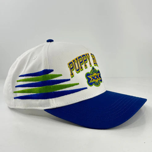 Puppy Bowl Hat
