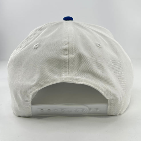 Puppy Bowl Hat